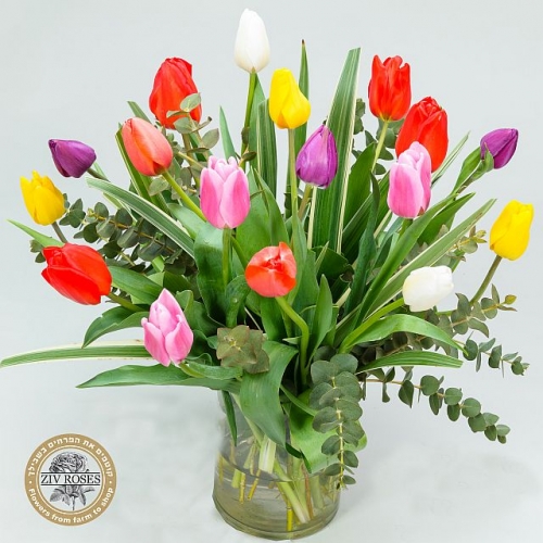 זר טוליפים להתרגש ביחד